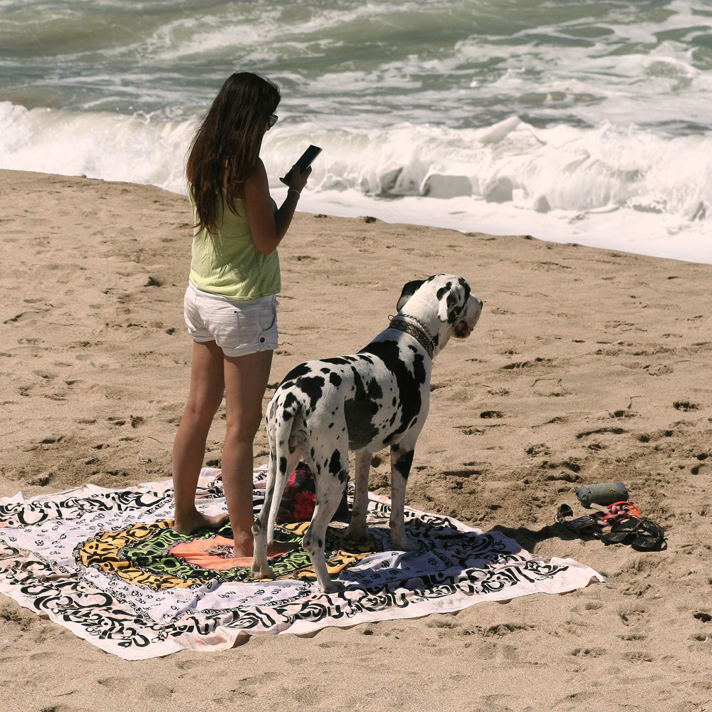 Girl and her dog on Playa Olas Altas in Mazatlan