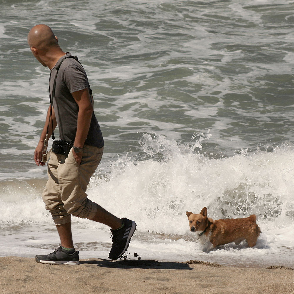 Man and his dog on Mazatlan beach
