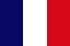 French Consulate Flag
